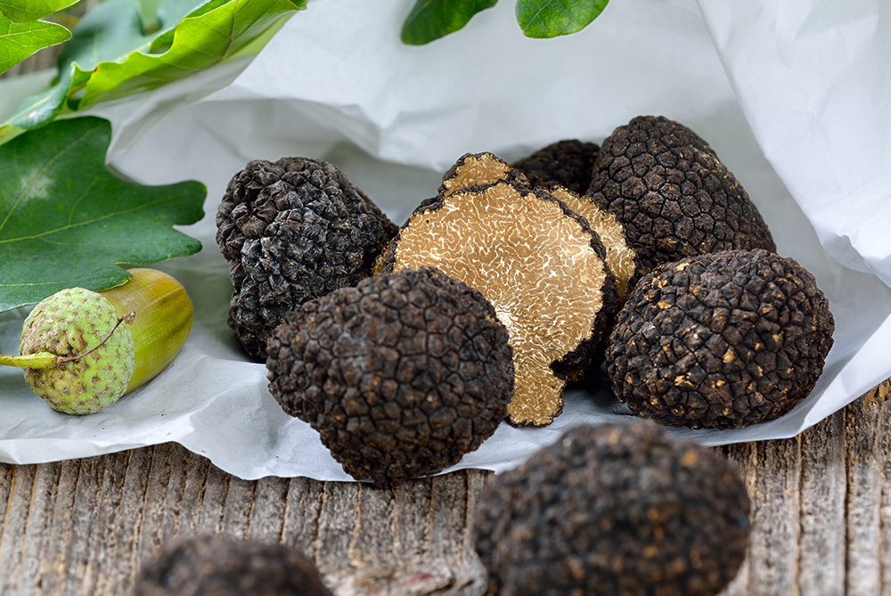 Burgundertrüffel (Tuber Uncinatum)