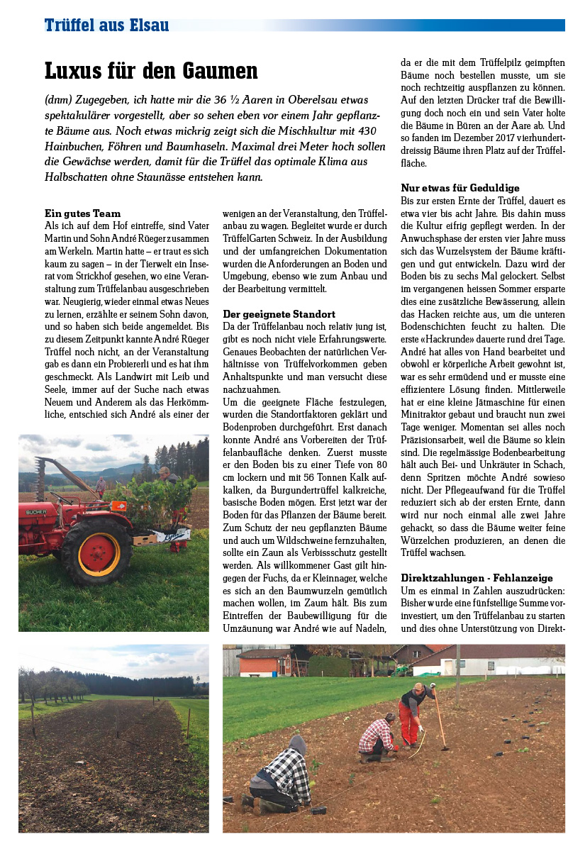 Der Rüegerhof in der Elsauer Zeitung 2019 Der Rüegerhof in der Elsauer Zeitung 2019