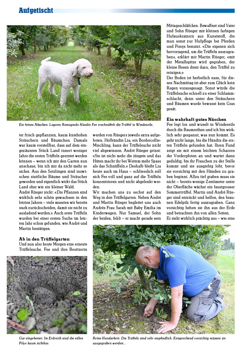 rueegerhof-elsauer-zeitung-2024 André Rüeger neu in der Naturschutz Kommission, Elsauer Zeitung 2019