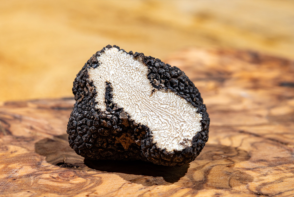 Sommertrüffel (Tuber Aestivum)